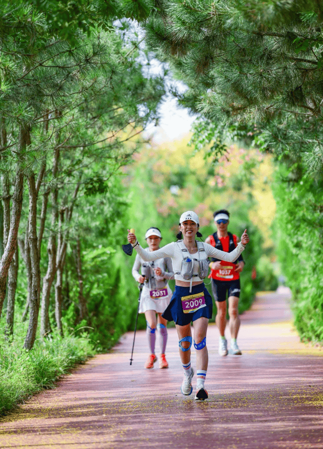 号路