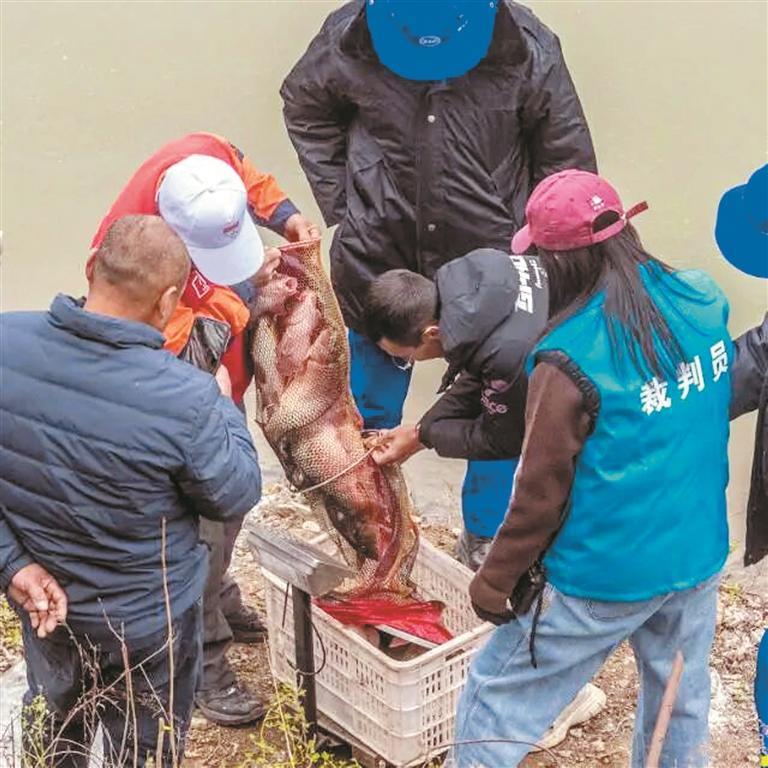 来自赤峰, https, div